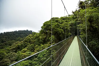 zambia