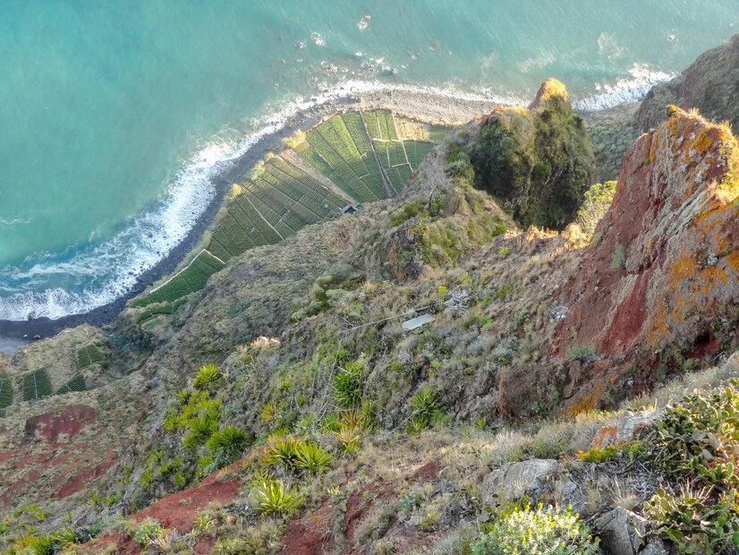 madeira-island